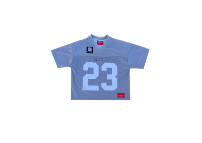 SUPERSTAR JERSEY (GREY)